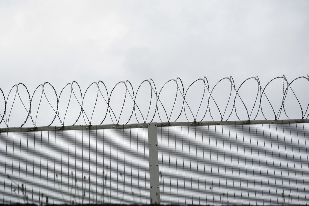 Galvanized Steel Wire